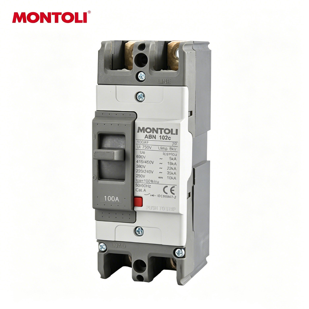 MLE Series MCCB - View 2